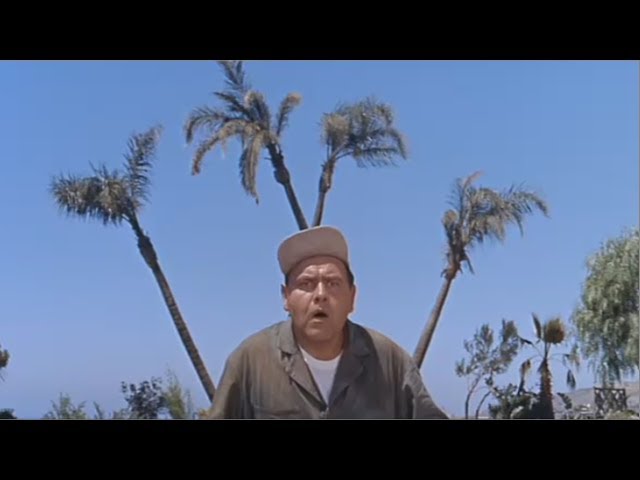 Jonathan Winters the best of a mad world