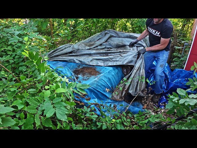 FREE Mystery Car Sitting Under Tarps for 35+ Years TREASURE or TRASH?