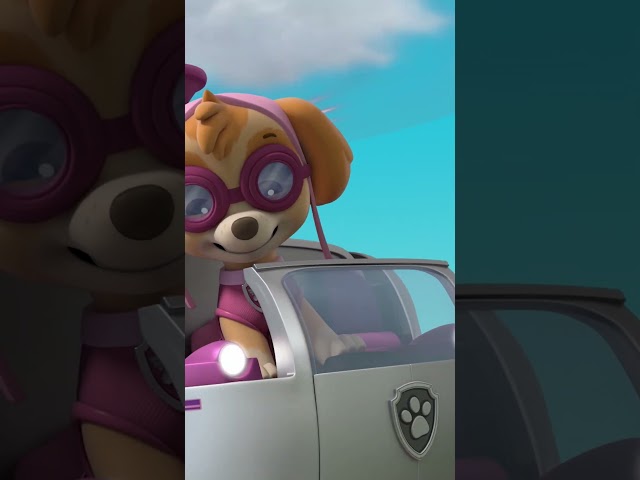 Skye saves Mayor Goodwin and #Chickaletta #PAWPatrolShorts #ShortsForKids