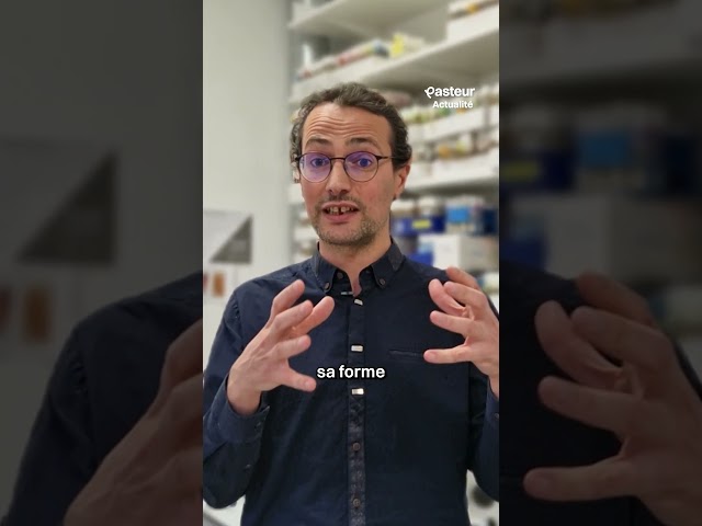 Cellules en guerre