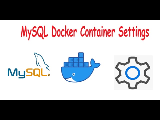 How to configure mysql docker container!#pythonprogramming #docker #mysql