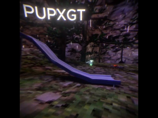 PUPXGT X COBRA (TOP 1 DUO) #gorillatag  #piconeo4vr #vr #gtag