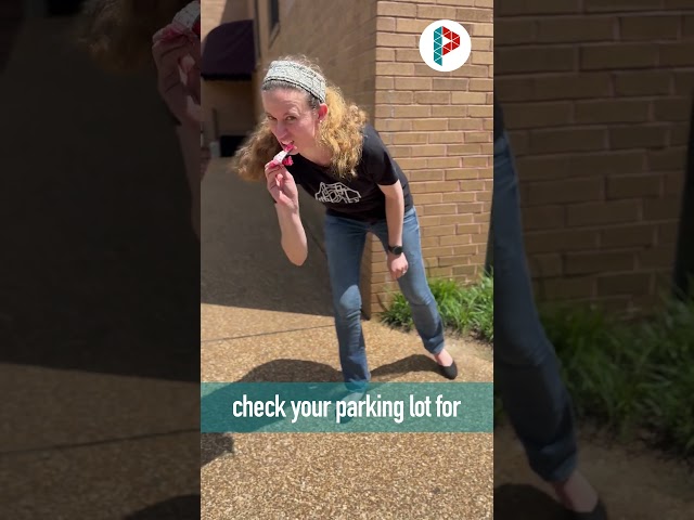 Daily Reminder - Check your parking lot!