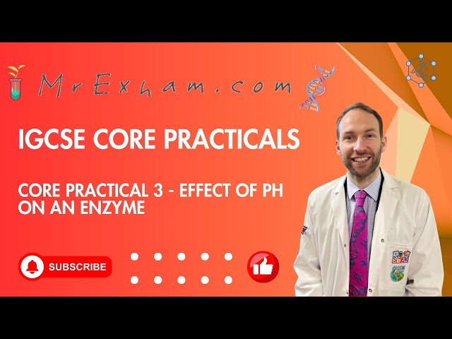 IGCSE Core Practical 3 - Enzymes and pH