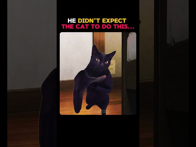 He didn't expect the cat to do THIS 💀
