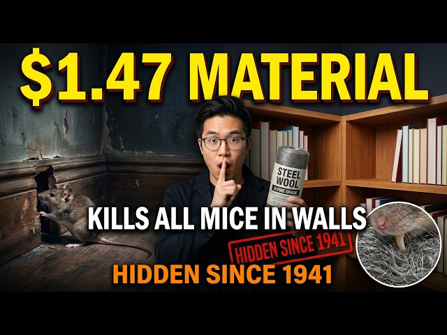 $1.47 Material KILLS ALL Mice in Walls PERMANENTLY.No Poison.Big Pest PRAYED You'd FORGET Since 1941