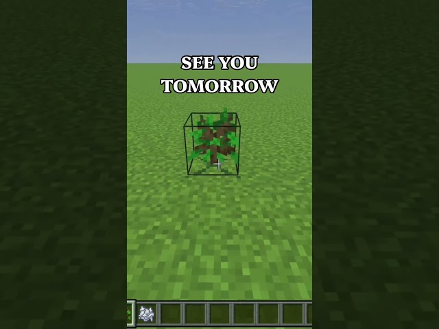 Day 12 #minecraft #minecraftshorts #minecraftmemes