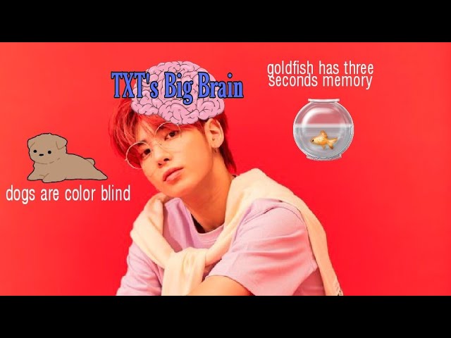 Taehyun being a walking encyclopedia