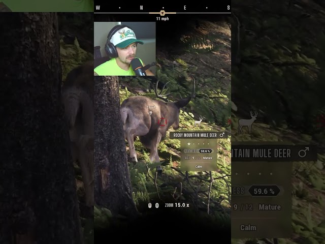 This Mule Deer Didn't Want to Die! #wayofthehunter2