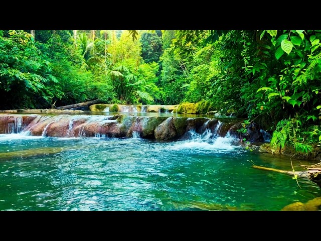 Deep Forest River Ambience with Natural Water Sounds, Relaxing Forest River, No Music 24/7. #599