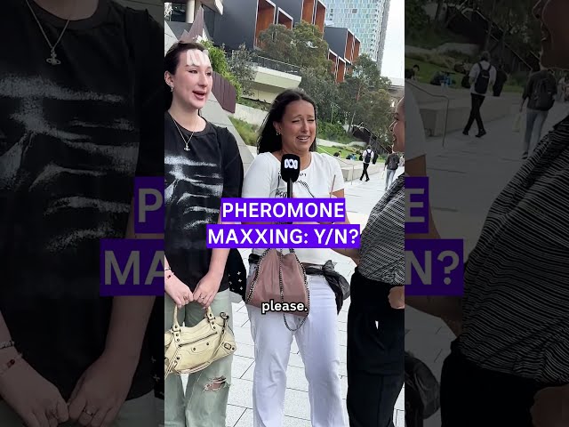Pheromone maxxing: Yes or no? #Pheromones #PheromoneMaxxing #HumanBody #STEM