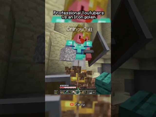 professional youtubers btw
