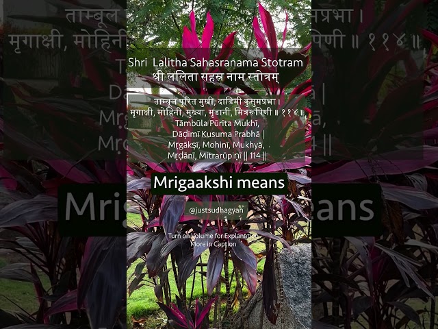 Shri Lalitha Sahasranamam Shloka 114 |Just Sudha Gyan