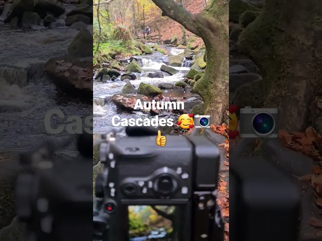Autumn Cascades