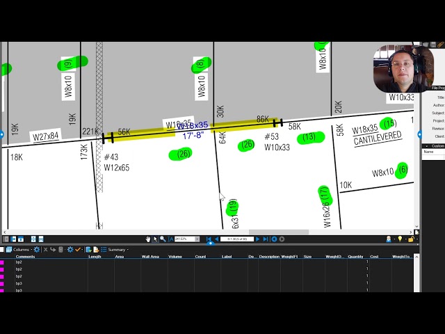 Bluebeam Estimating For Weight