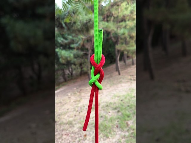 Secure Way To Join 2 Ropes: The Reef Knot Secret! 🔴🟢