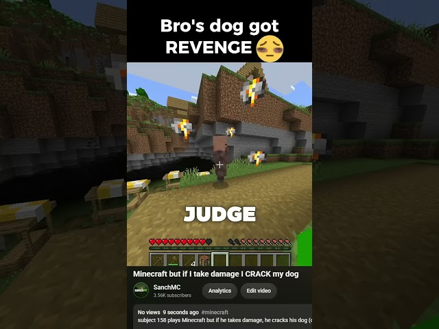 Minecraft, but if I take damage I CRACK my dog
