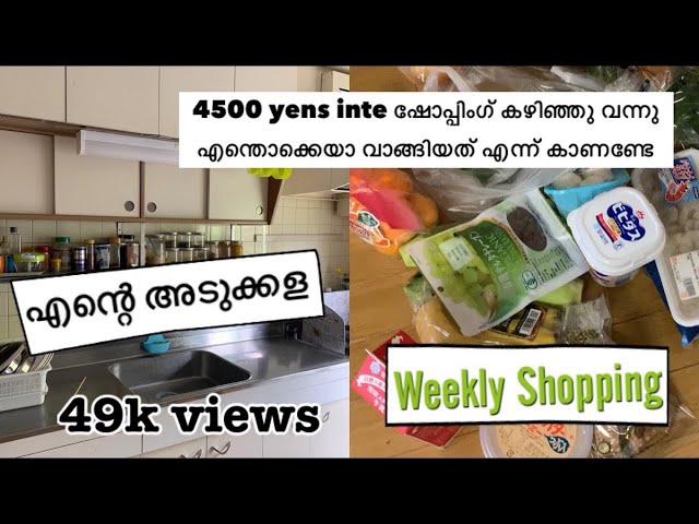 ജപ്പാനിലെ പച്ചക്കറികളുടെ വിലയും വിവരങ്ങളും || ഞങളുടെ അടുക്കള വിശേഷങ്ങളും
