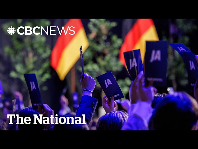 Why people are voting for Germany’s far-right AfD party