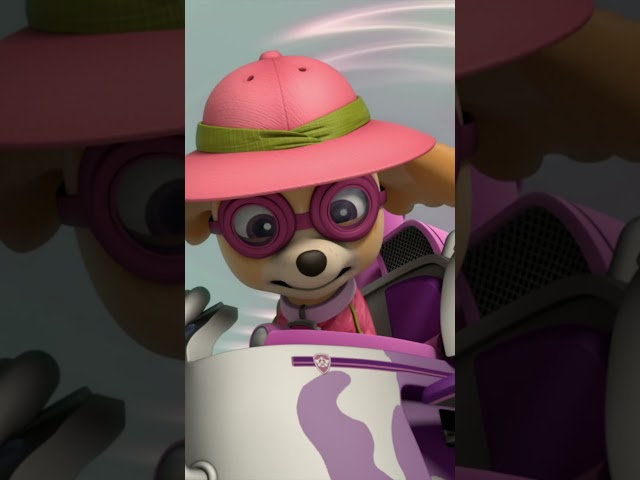 Big Harry is Running Off With Tracker #PAWPatrolShorts