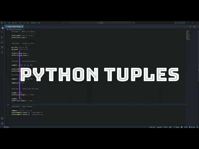 Python Tuples Explained in Under 10 Minutes | Beginner Python Tutorial