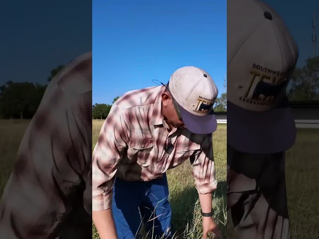 How to Drought Proof Your Farm