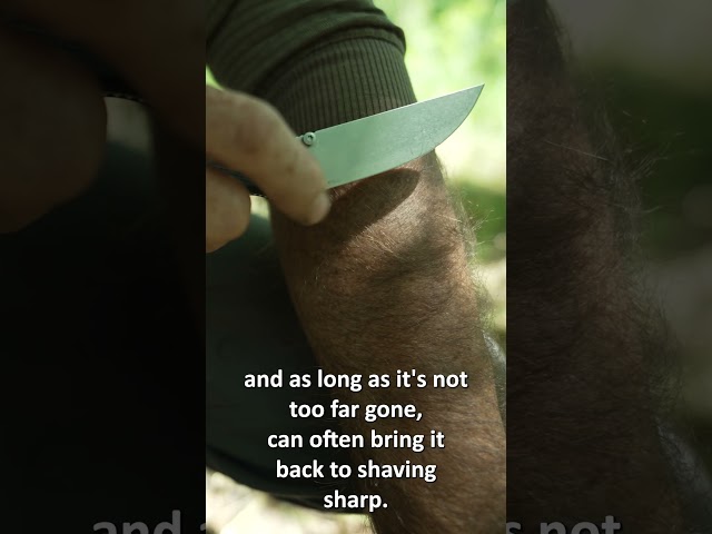 This trick sharpens any knife #lifehacks #outdoors #skills