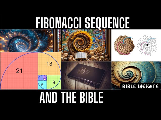 The Fibonacci Sequence in Nature: God's Perfect Design | Bible Insights