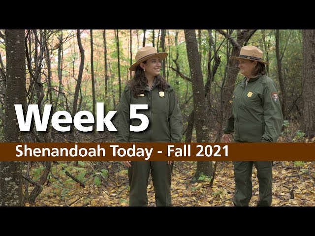 Fall Broadcast - October 14, 2021
