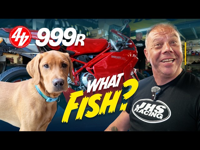 Ducati 999R | Workshop Rebuild