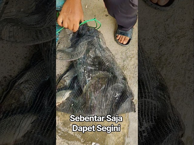 Gak Kebayang Kalo Dari Pagi Mancing Nya ...