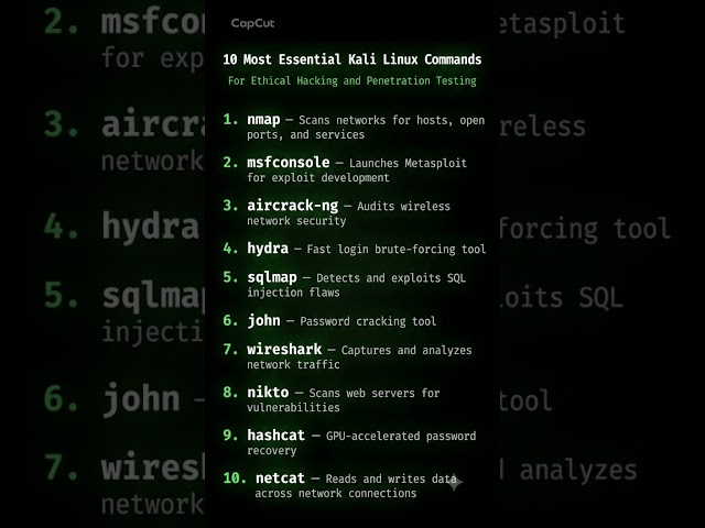 10 Most Essential Kali Linux Commands for Ethical Hacking 🐧🔒