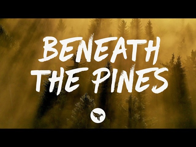 Zach John King - Beneath the Pines (Lyrics)