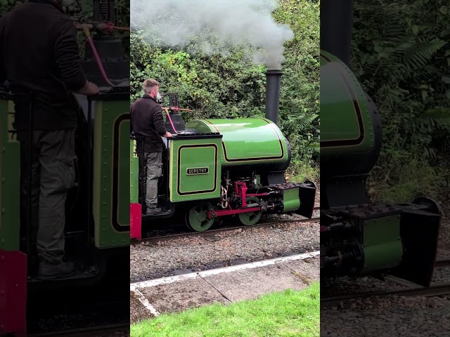 🚂 Dorothy Runs Round At Bala Station #trains #railway #shorts