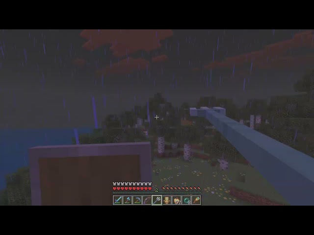 i played minecraft java for the 2 time!