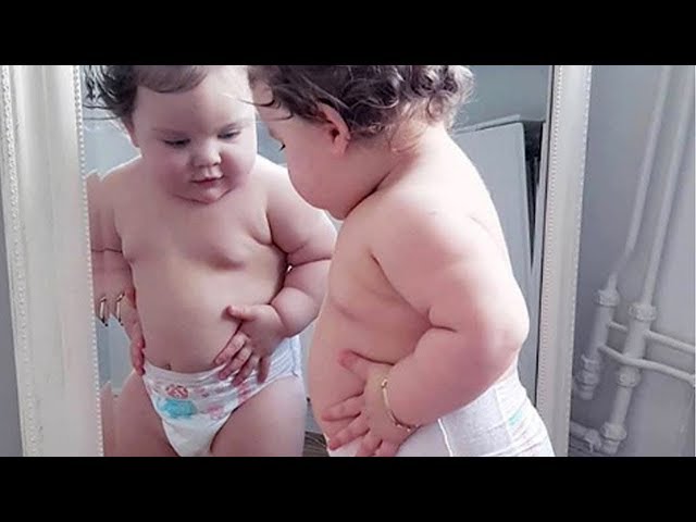 Cutest Chubby Baby Compilation|| Funny Baby and Pet