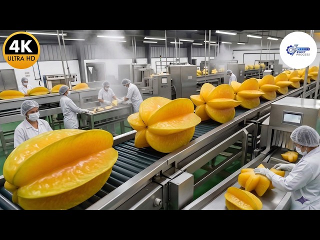 Inside a Modern Starfruit Factory: From Raw Starfruits to Clear Tropical Syrup (Full Process)