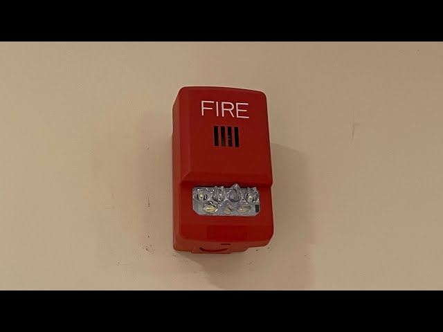 Basement Fire System Test 57 | Wheelock ELUXA Horn Strobes (LED Fire Alarm Signals)