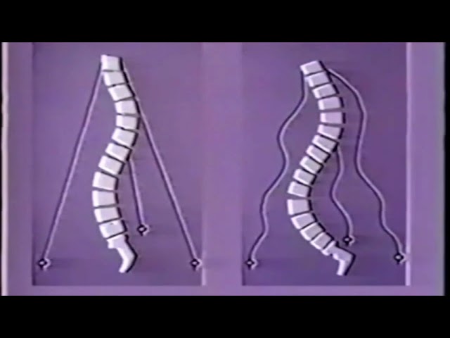 Osha Back Your Back/Construction Safety/Is It Worth Your Life/Hazzard Communication