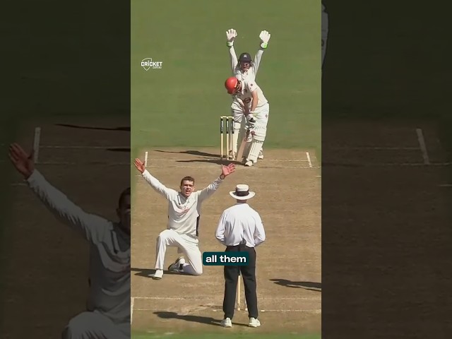 Who misses out in Vics' Shield selection crunch?