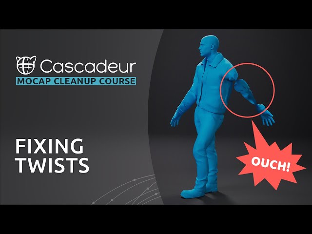 Fixing Limb Direction Controllers and Twists | Mocap Cleanup Course in Cascadeur