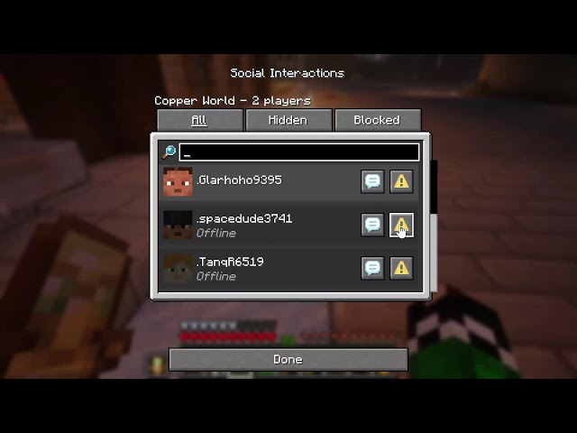 Minecraft & Playing with fans (Bedrock and Java players welcome)