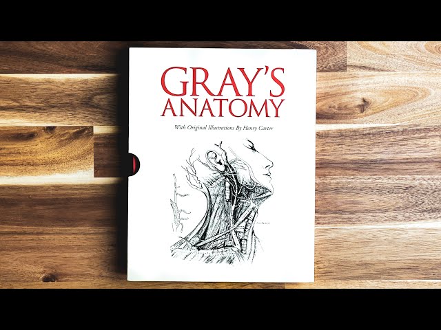 The Dark Story Behind Gray's Anatomy | Patrick Kelly