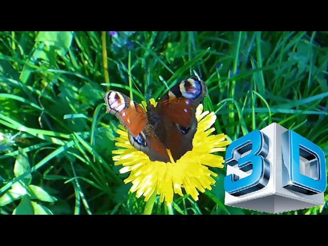 Spring Incredibly spectacular 3D 60fps Весна з ефектним 3D (5.1 Dolby Atmos) #3dvideo #nature
