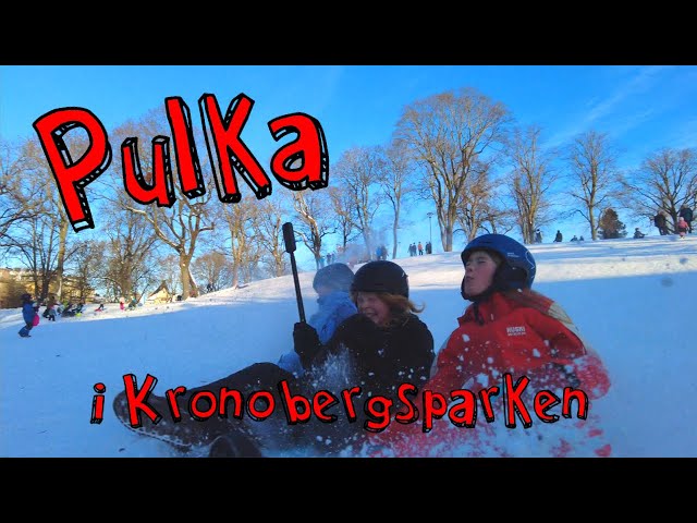 Pulka i Kronobergsparken ❄️
