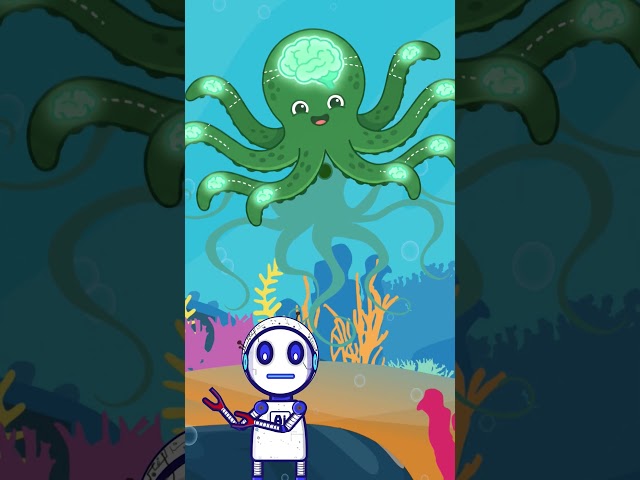 Octopus Has 9 Brains?! 🐙🧠 | Fun Facts with Aizmo Ep. 4