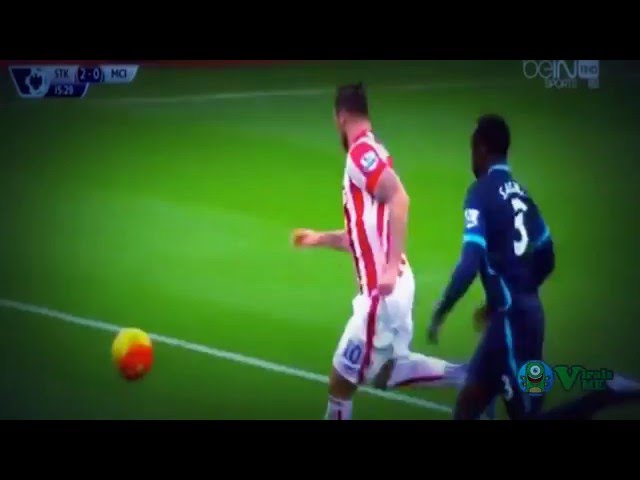 Stoke vs Manchester City 2:0 All Goals  All Goals Match Review  05-12-2015