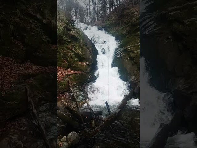 Slap Šum, zvok slapa, Bistriški vintgar, 1 ura sprostitve, meditacija