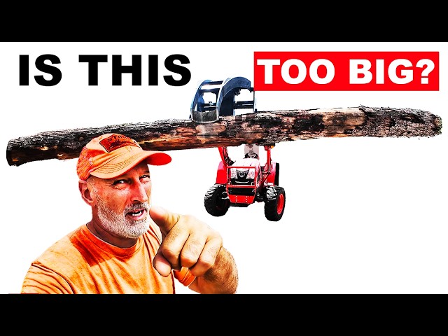 FIREWOOD PROCESSING HUGE WOOD! Is it TOO big?