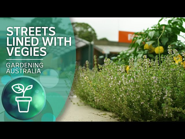 Landscaping with vegetables creates free food for all | Urban Farming | Gardening Australia